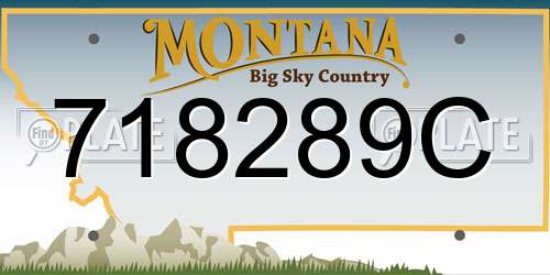 718289C Montana License Plate