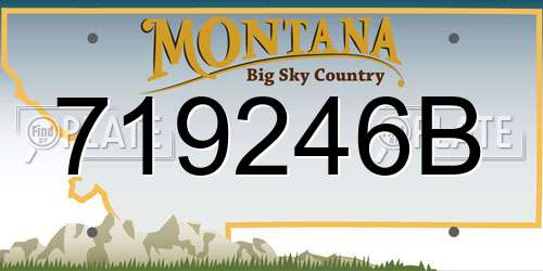 719246B Montana License Plate