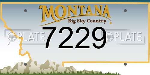 7229 Montana License Plate