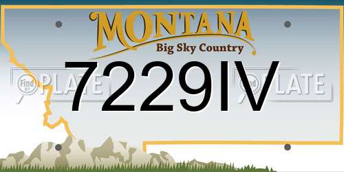 7229IV Montana License Plate