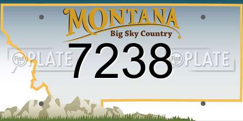 7238 Montana License Plate