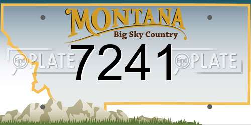 7241 Montana License Plate