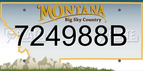 724988B Montana License Plate