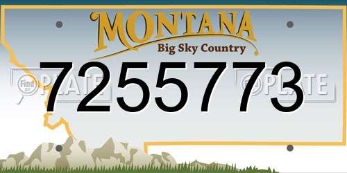 7255773 Montana License Plate