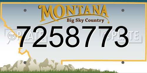 7258773 Montana License Plate