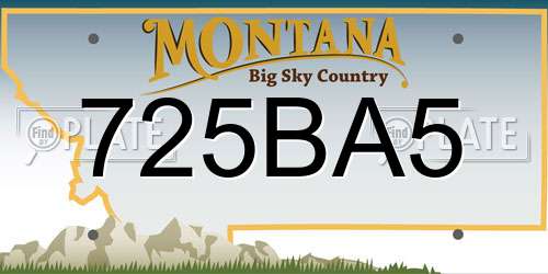725BA5 Montana License Plate