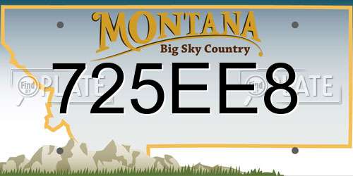 725EE8 Montana License Plate