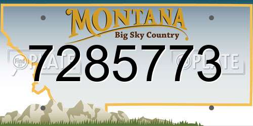 7285773 Montana License Plate