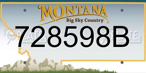 728598B Montana License Plate