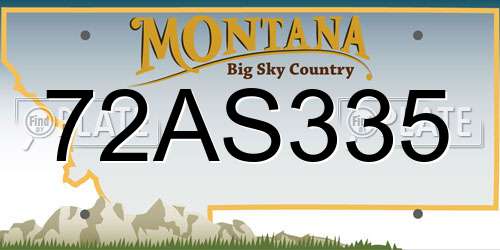 72AS335 Montana License Plate
