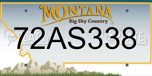 72AS338 Montana License Plate