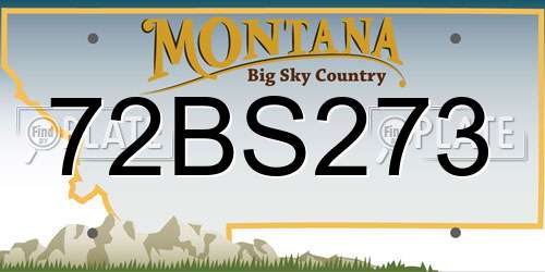 72BS273 Montana License Plate