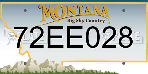 72EE028 Montana License Plate