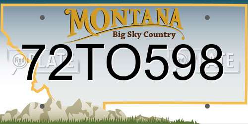 72TO598 Montana License Plate