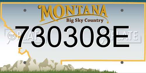 730308E Montana License Plate