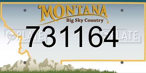 731164 Montana License Plate