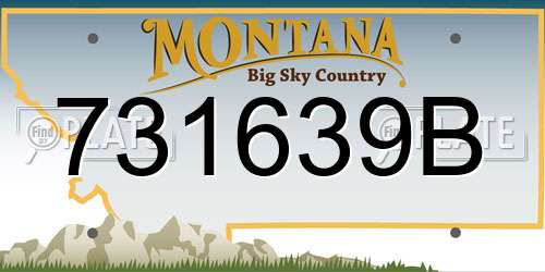 731639B Montana License Plate