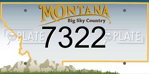 7322 Montana License Plate