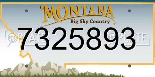 7325893 Montana License Plate