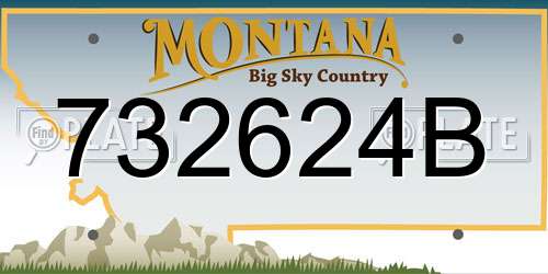 732624B Montana License Plate