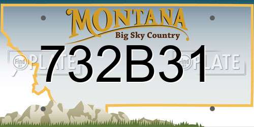 732B31 Montana License Plate