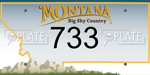 733 Montana License Plate