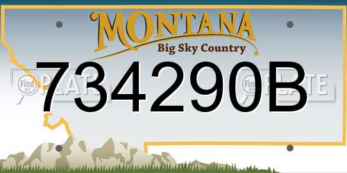 734290B Montana License Plate