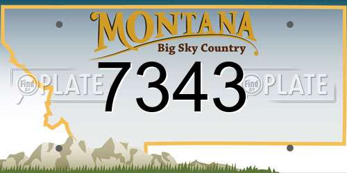 7343 Montana License Plate