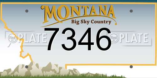 7346 Montana License Plate