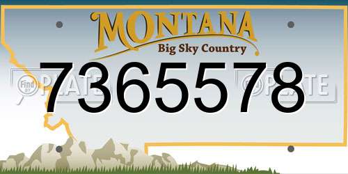 7365578 Montana License Plate