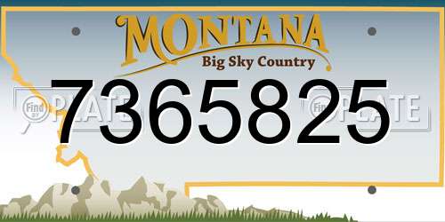 7365825 Montana License Plate