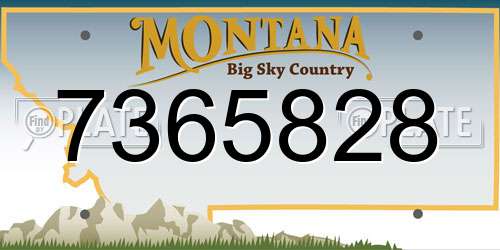 7365828 Montana License Plate