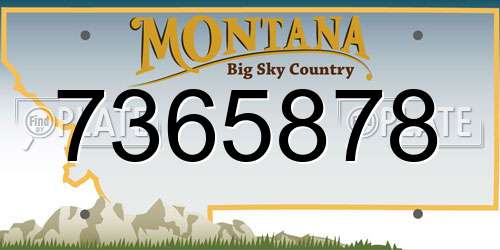 7365878 Montana License Plate