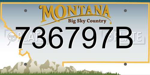 736797B Montana License Plate