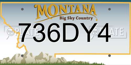 736DY4 Montana License Plate