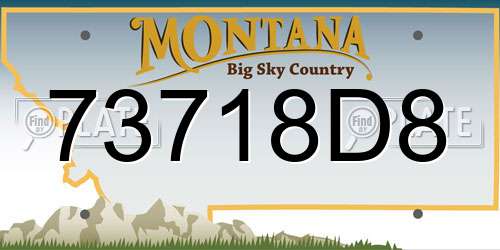 73718D8 Montana License Plate