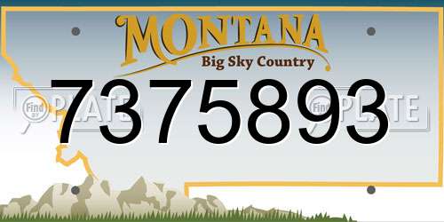 7375893 Montana License Plate