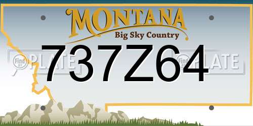 737Z64 Montana License Plate
