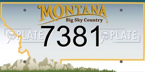 7381 Montana License Plate