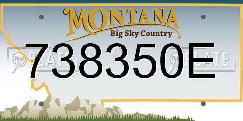 738350E Montana License Plate