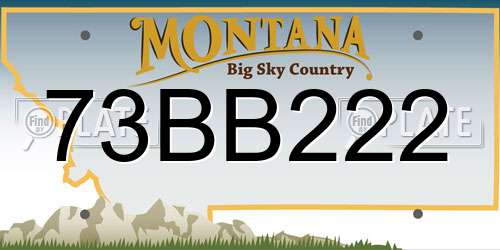 73BB222 Montana License Plate