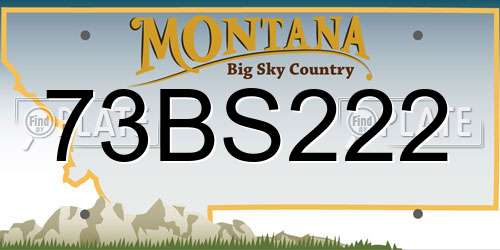 73BS222 Montana License Plate