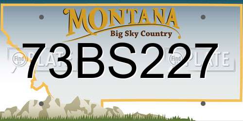 73BS227 Montana License Plate