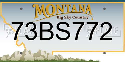 73BS772 Montana License Plate