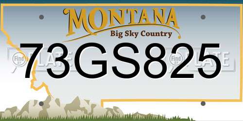 73GS825 Montana License Plate
