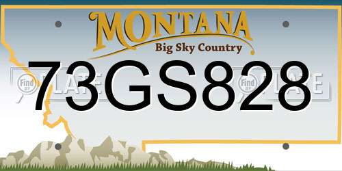 73GS828 Montana License Plate