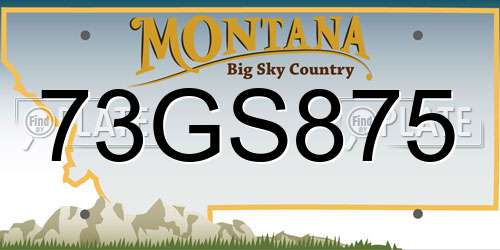 73GS875 Montana License Plate