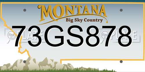 73GS878 Montana License Plate