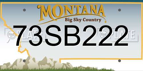 73SB222 Montana License Plate