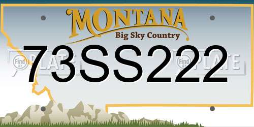 73SS222 Montana License Plate